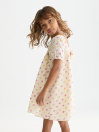 Printed Embroidered Cotton Dress