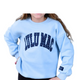 Light Blue/Navy