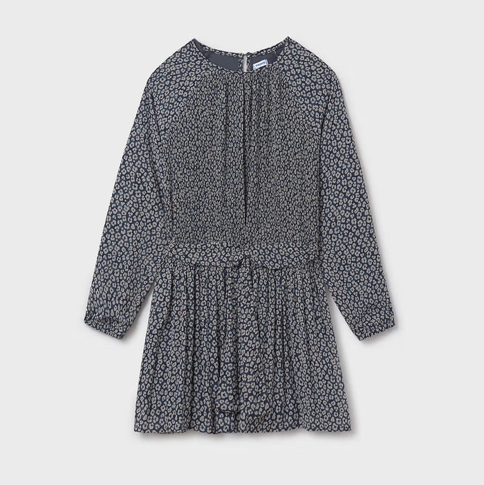 Pleated Printed Dress