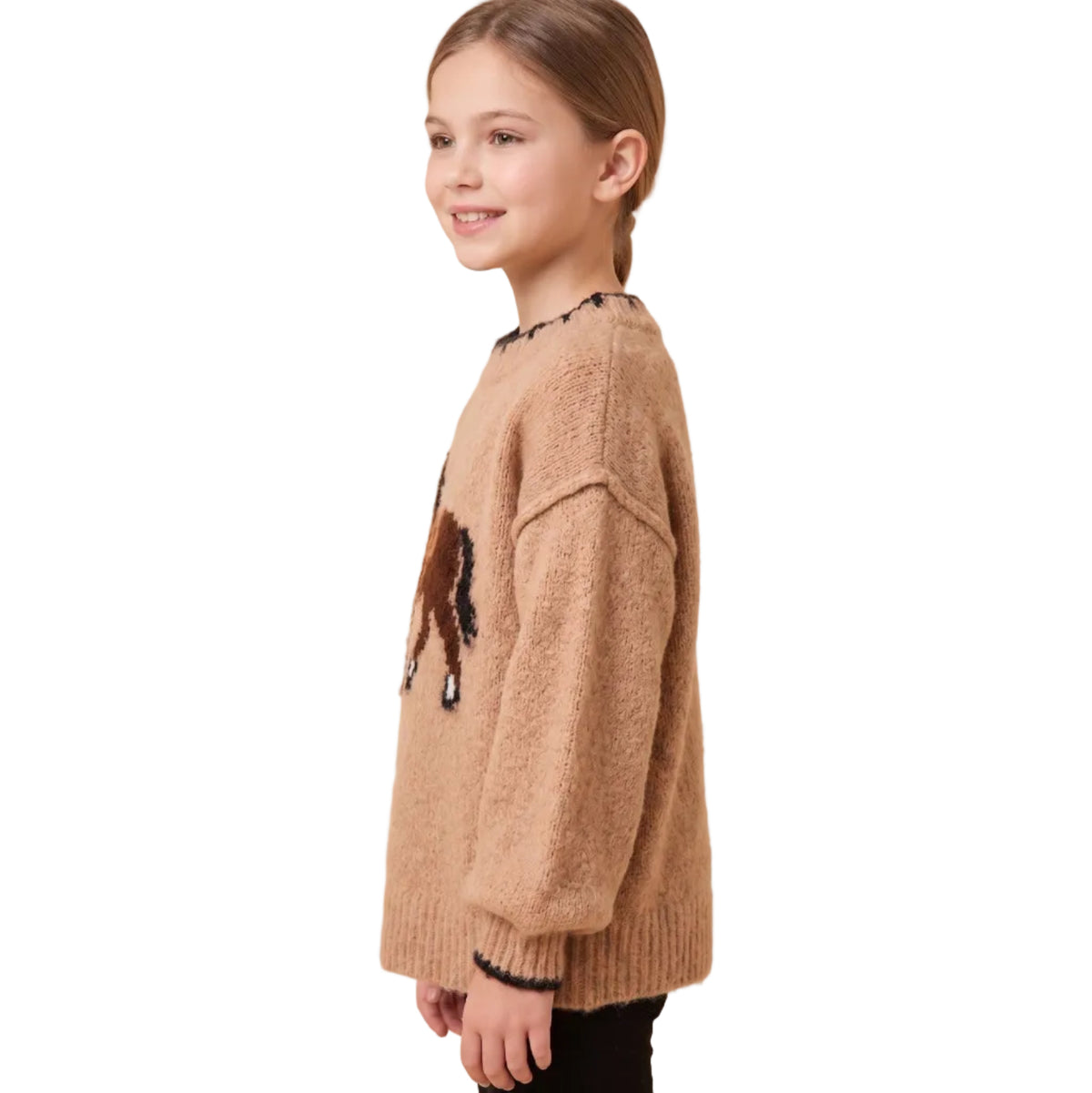 Contrast Detail Horse Knit Sweater