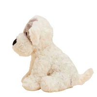 Patch Curly Dog Warmies