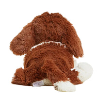St. Bernard Warmies