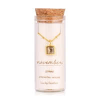 Gold Birthstone Bottle Necklace