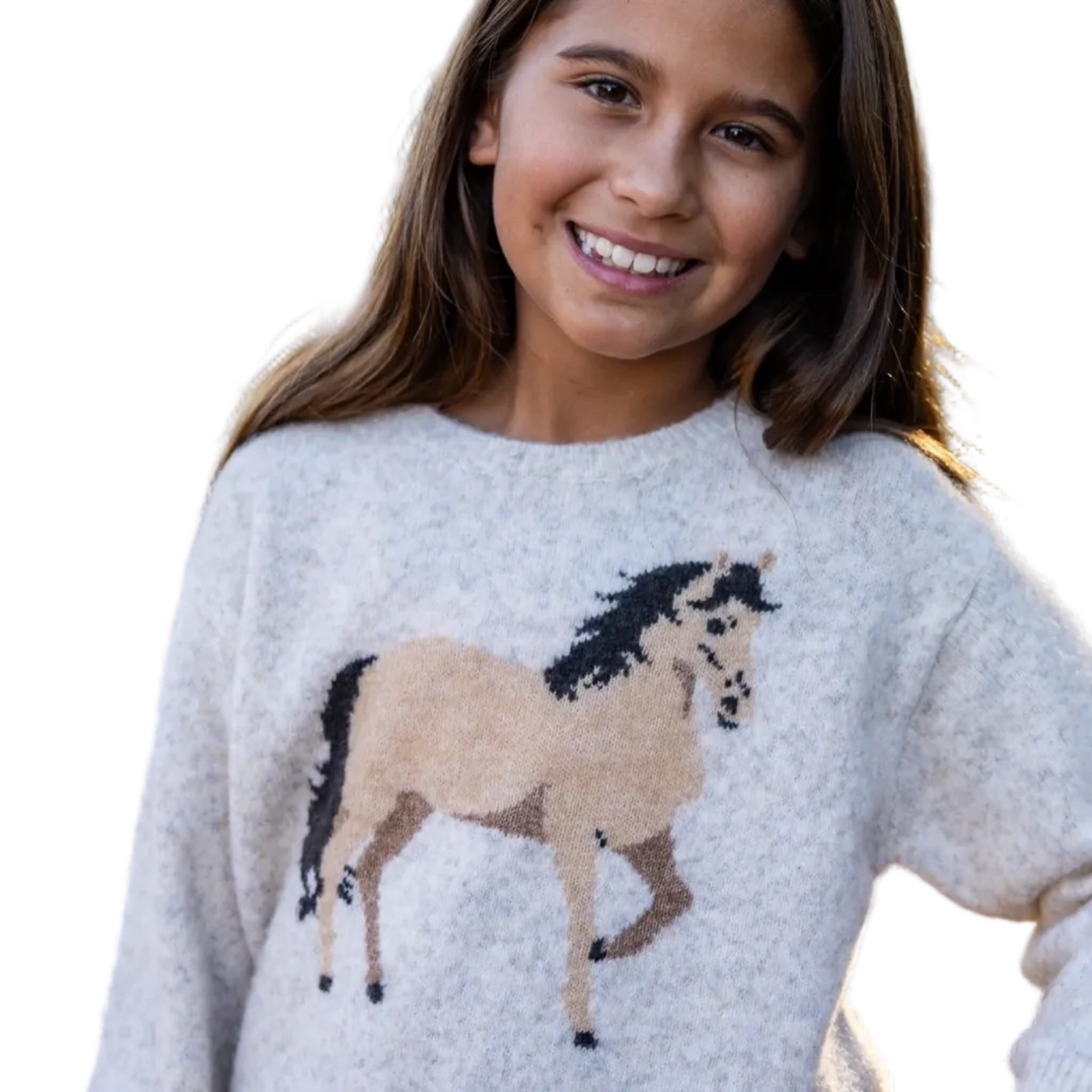Camille Horse Sweater