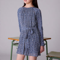 Pleated Printed Dress
