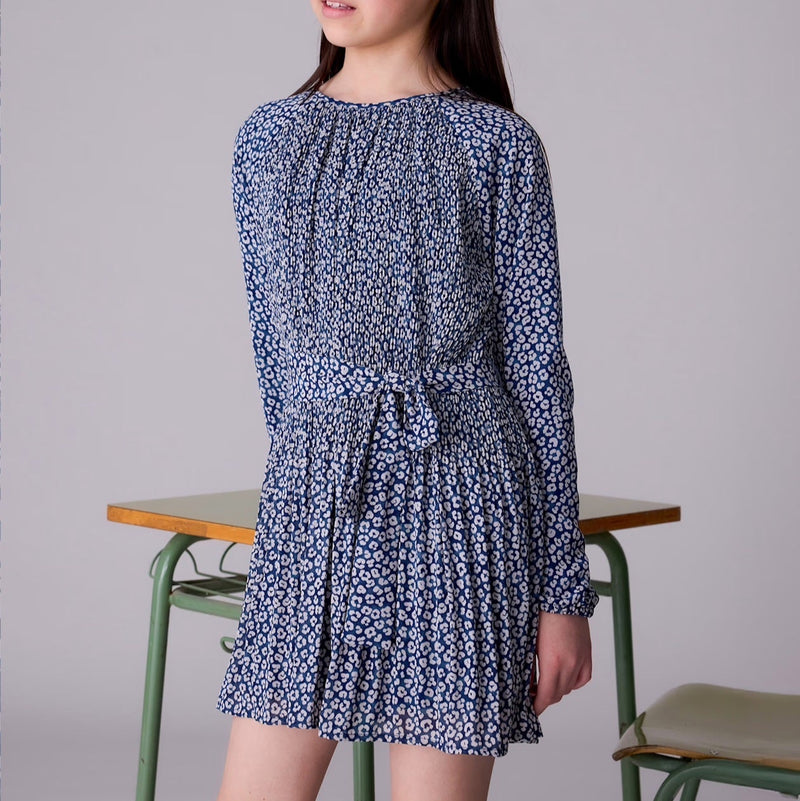 Pleated Printed Dress