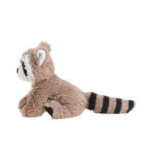 Raccoon Junior Warmies