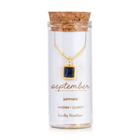 Gold Birthstone Bottle Necklace