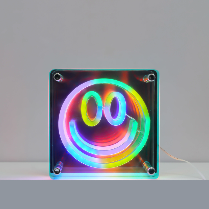 Neon Art Wall & Desk Sign | Smile
