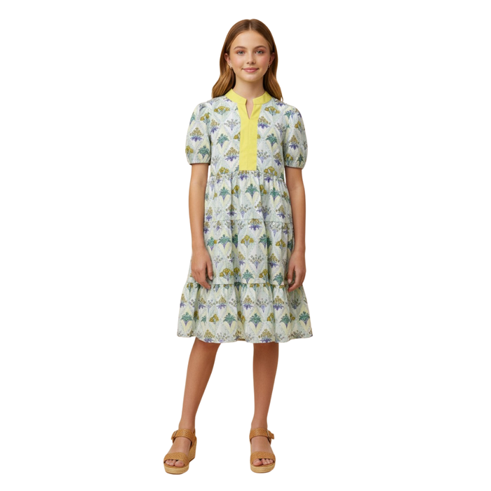 Floral Block Contrast Collar Dress