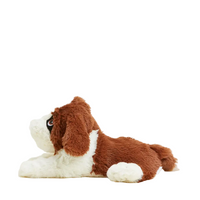 St. Bernard Warmies