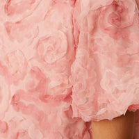 Puff Sleeve Organza Top