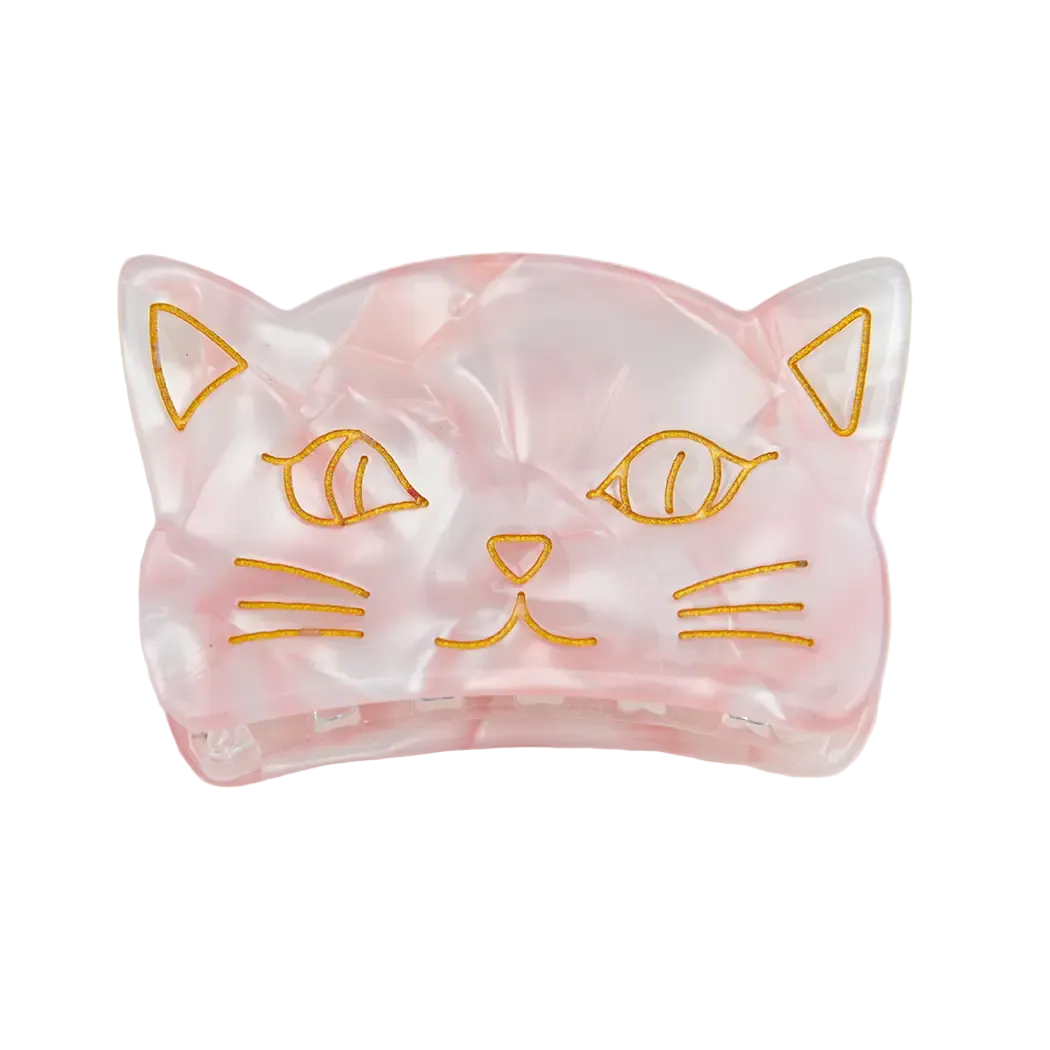 Acrylic Cute Cat Claw Clip - Color B