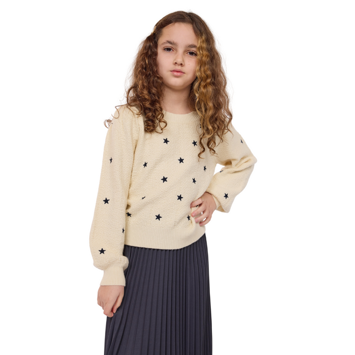 Star Embroidered Sweater